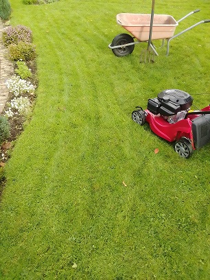 Cranemoor Garden Maintenance